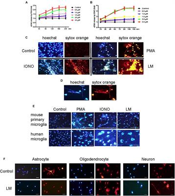 The TRAPs From Microglial Vesicles Protect Against Listeria Infection in the CNS